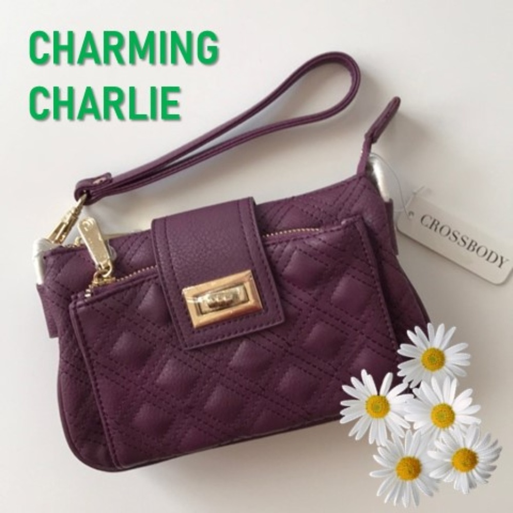 NWT CHARMING CHARLIE crossbody mini bag / clutch